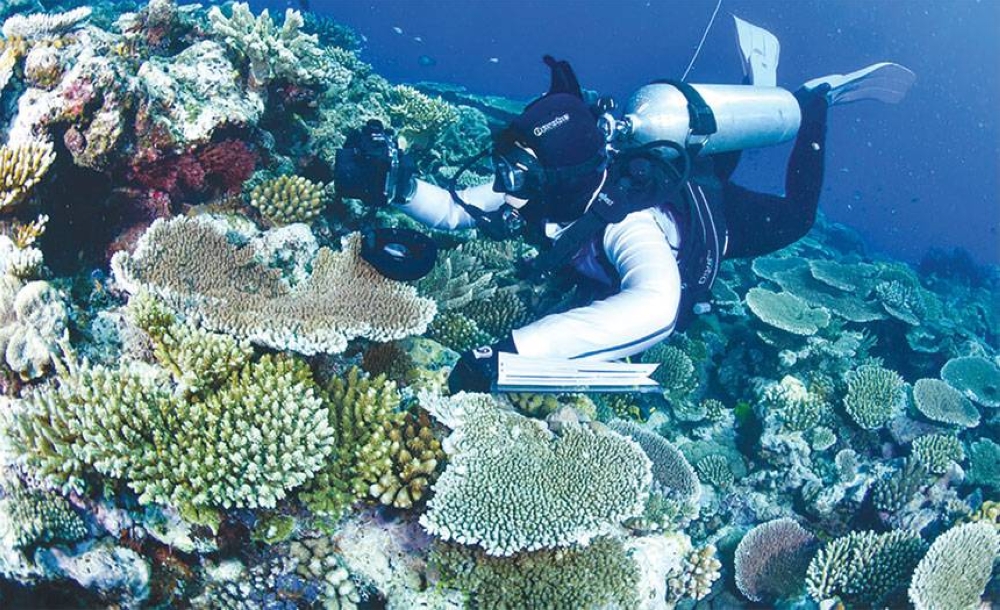 Heat wave bleaches 91% of Great Barrier Reef | The Manila Times
