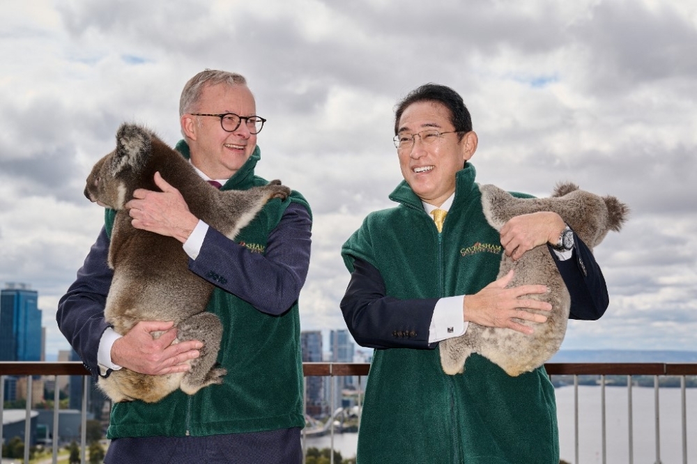 FURRY FRIENDS Australia’s Prime Minister Anthony Albanese and his Japanese counterpart Fumio Kishida pose with koalas during their visit to Kings Park in the city of Perth, western Australia on Saturday, Oct. 22, 2022. AFP PHOTO