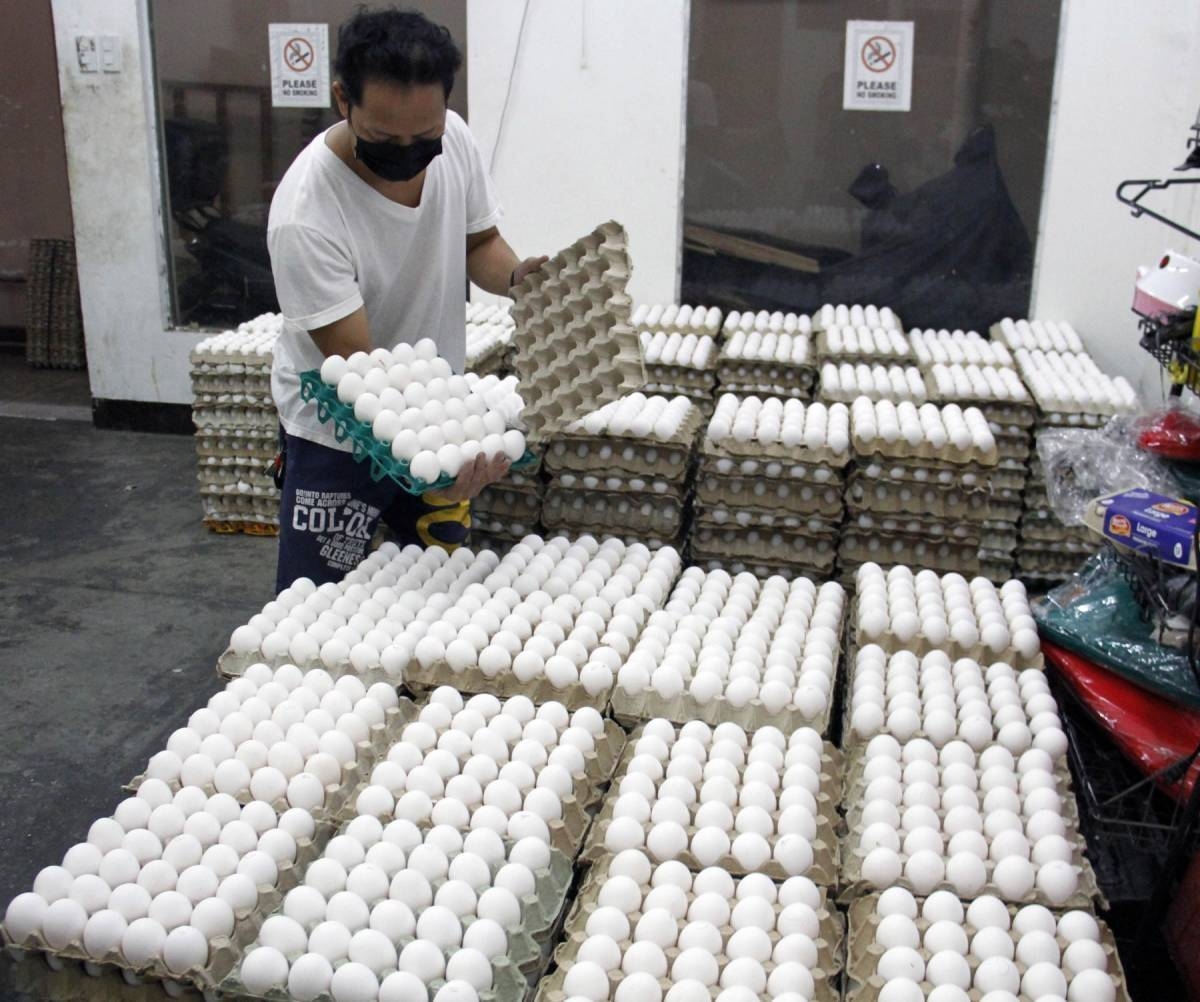 A worker at the Marikina Public market sorts out trays off eggs on Friday, Jan. 13, 2023. Egg sellers said the high price of feeds and bird flu have caused a shortage in supply of eggs which, in turn, jacked up market prices. PHOTO BY MIKE DE JUAN