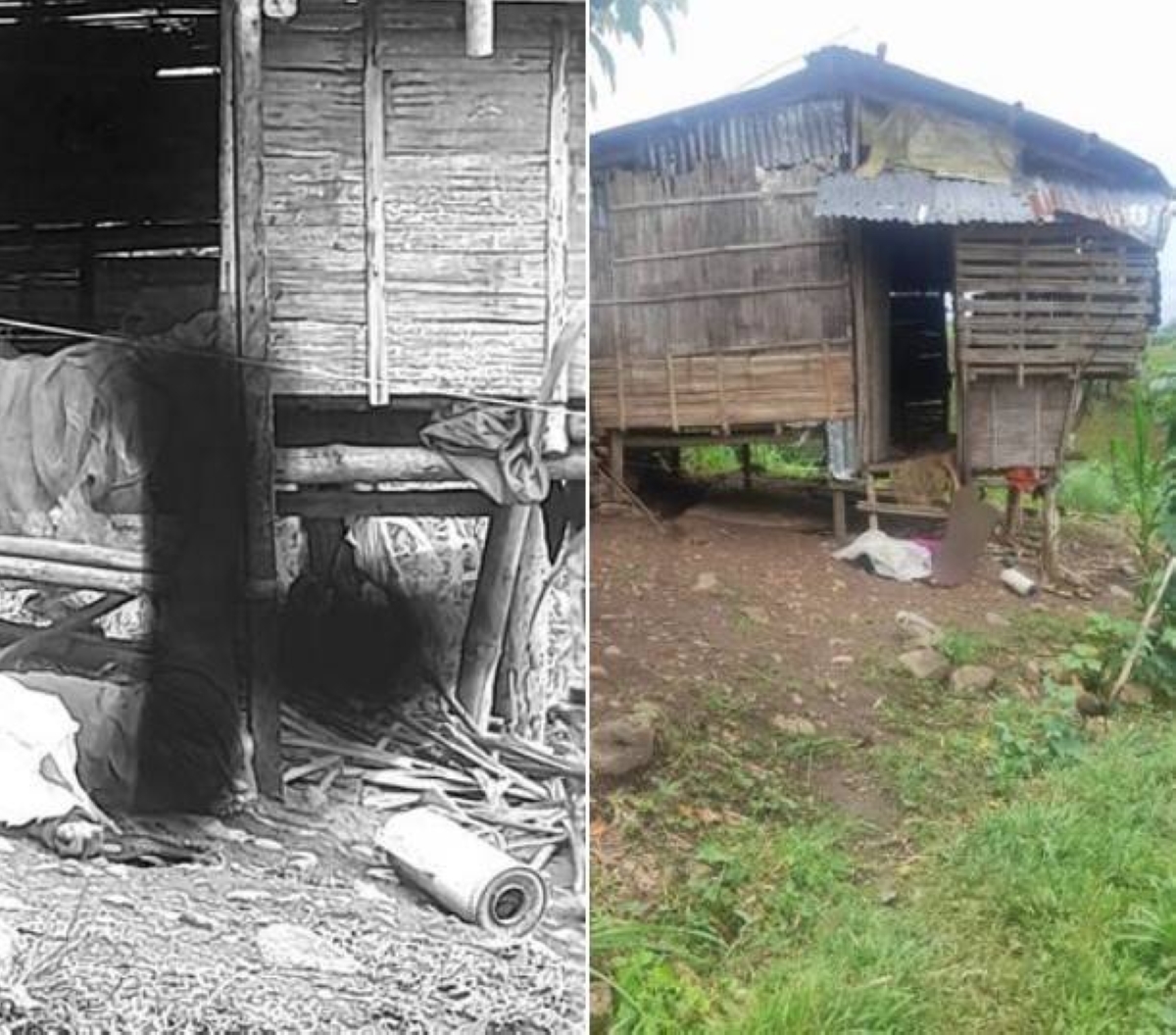 Lead in family killing bared; CHR investigates - Vimarsana News