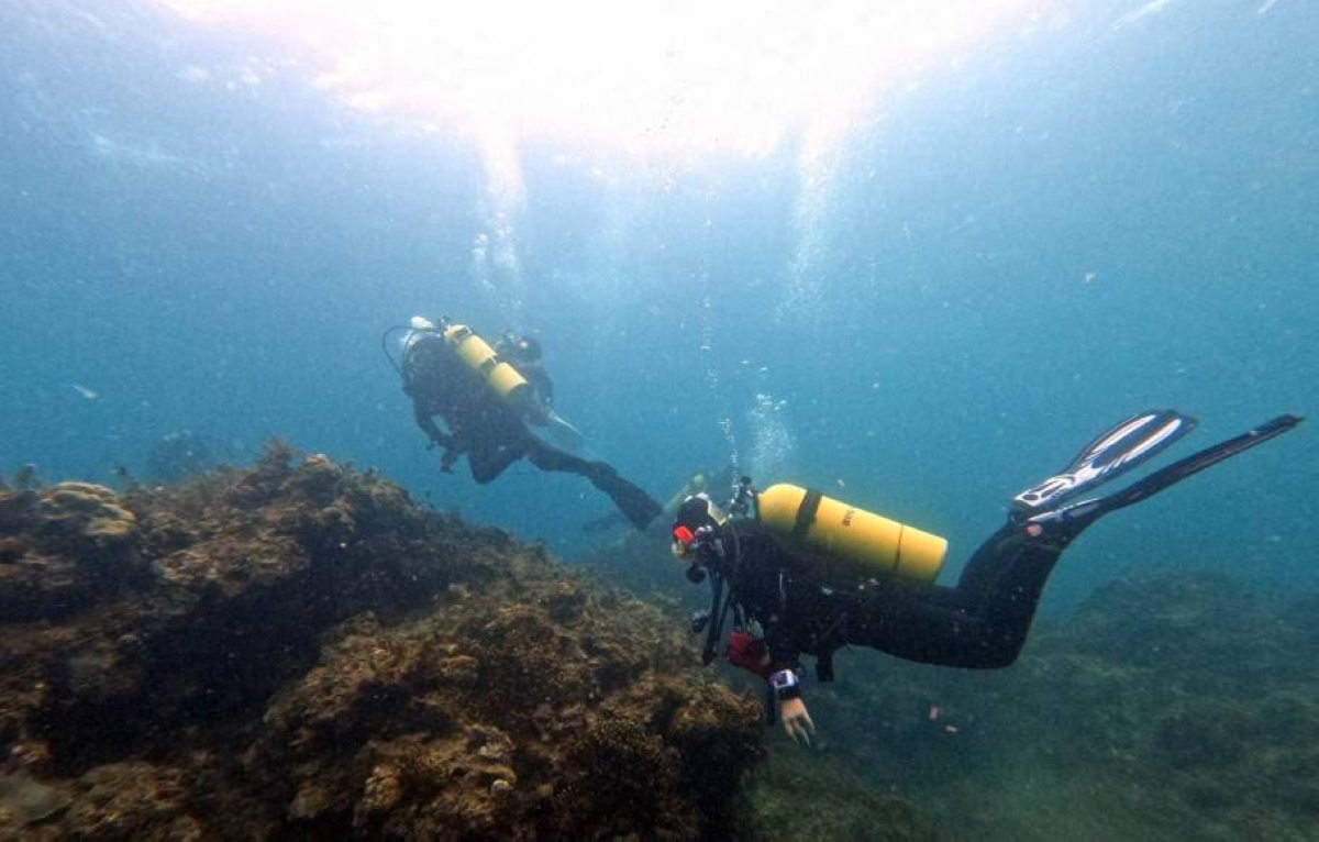 UBS, Blue finance tie up for PH marine protection - Vimarsana News