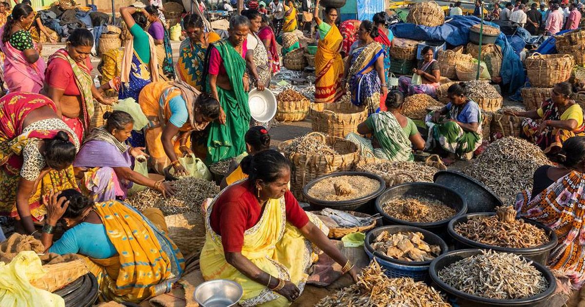 Global food systems 'broken', says UN chief, urging transformations in how we produce, consume food - Vimarsana News