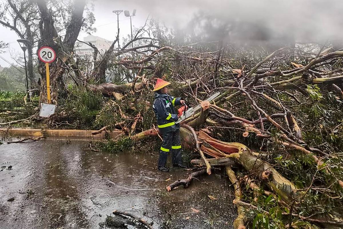 This handout photograph taken and released by the Baguio City Police - Public Information Office on July 26, 2023, shows a personnel at a site hit by Typhoon Egay (international name: Dokshuri) in Baguio City. AFP PHOTO / Baguio City Police - Public Information Office