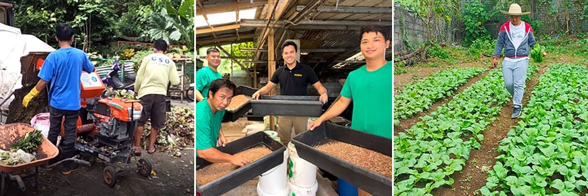 Black soldier fly helps convert waste into fertilizer - Vimarsana News