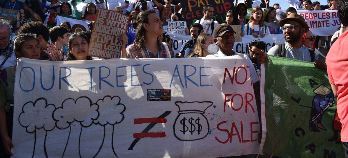 As record warming puts climate targets at risk, young people's 'green skills' may help save the planet - Vimarsana News