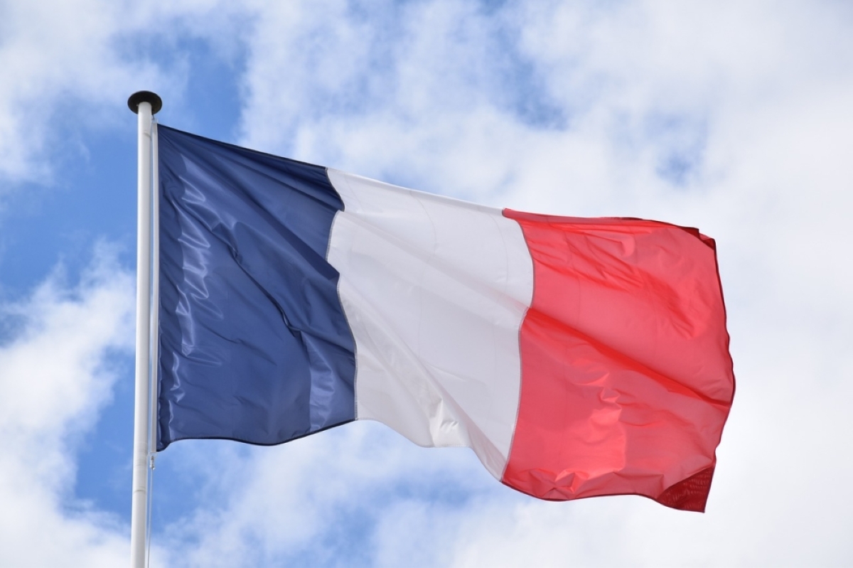 French woman prosecuted for topless stroll | The Manila Times - Vimarsana News