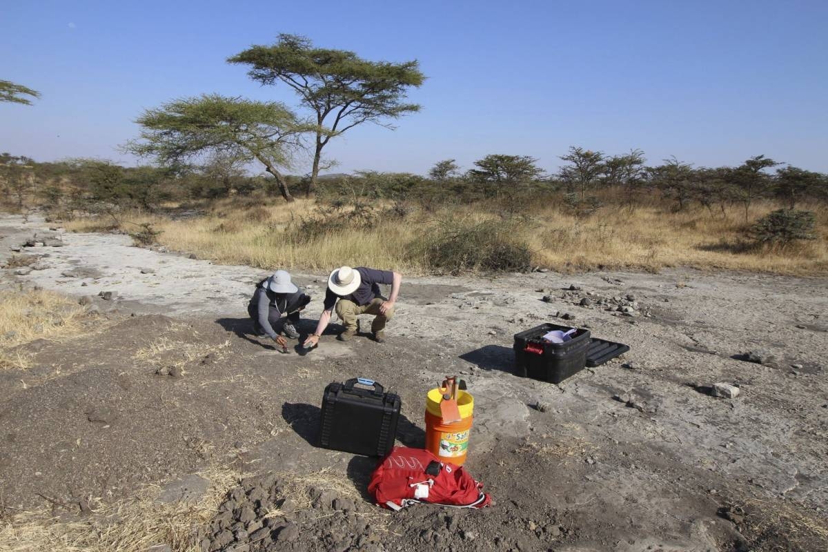 Scepticism about the claim human ancestors nearly went extinct - Vimarsana News