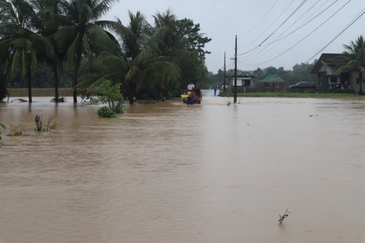 Asean body, PH plan disaster response tack | The Manila Times - Vimarsana News