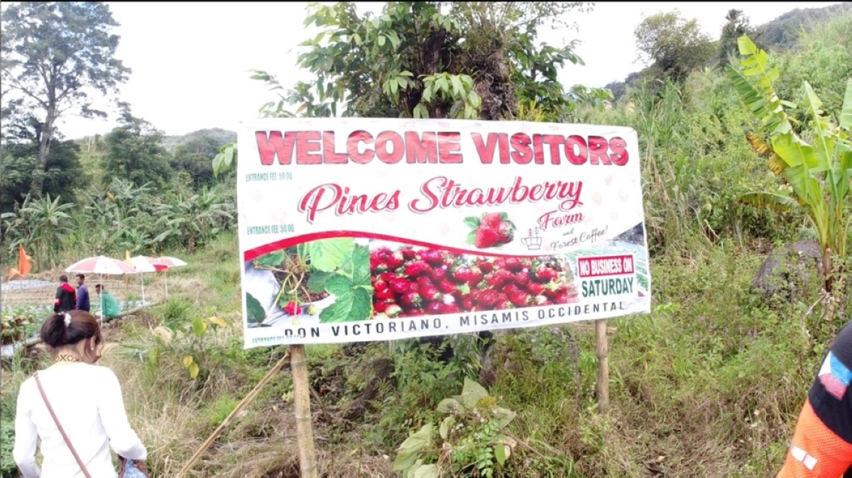 gateway to sacred mt. malindang