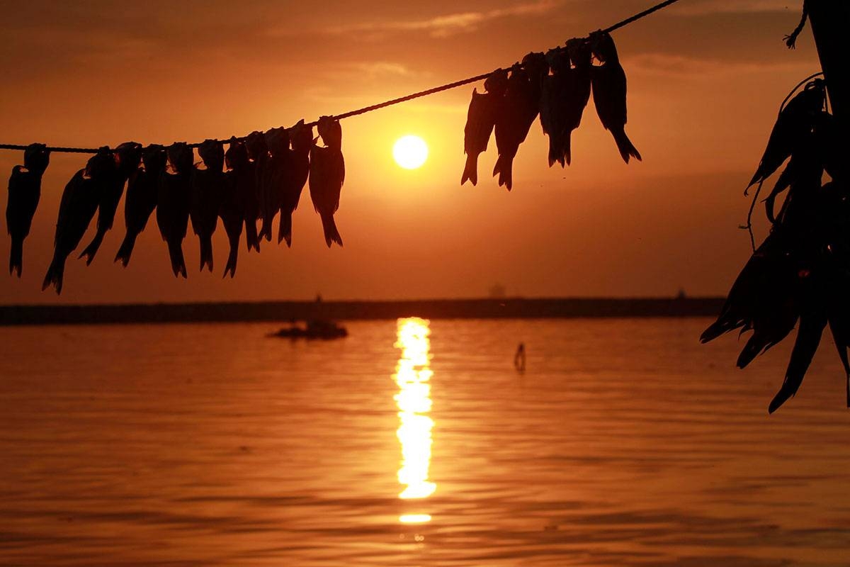 Global one-day temperature spikes above 2 C for first time - Vimarsana News