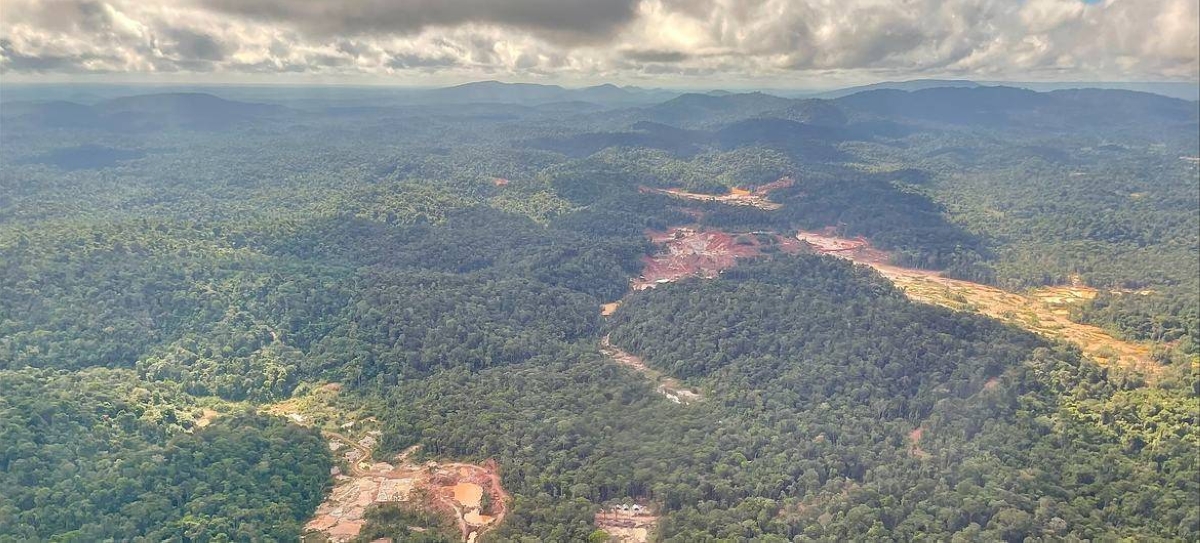 Mining In Rainforests COP28: Extraction of minerals needed for green energy must be ...