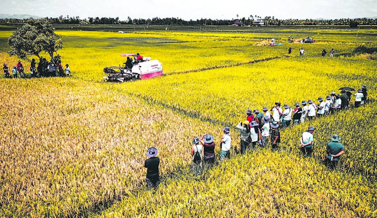 PhilMech distributes P398.5B in equipment | The Manila Times - Vimarsana News