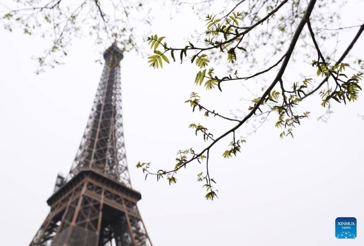 France detains 80 child sex perpetrators | The Manila Times - Vimarsana News