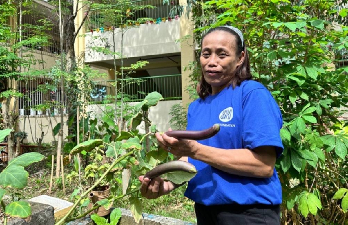 SM Foundation highlights triumph of mothers in urban gardening - Vimarsana News