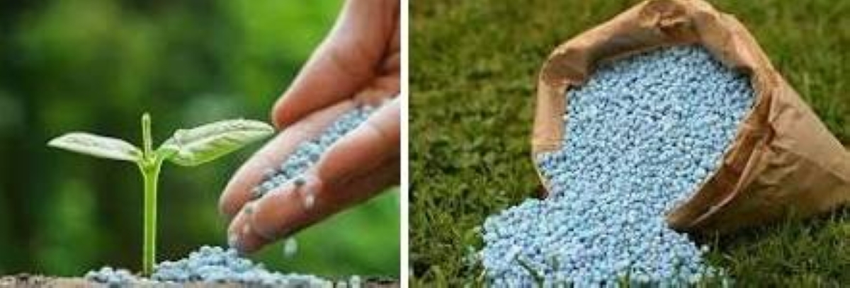 Bataan farmers get free fertilizers | The Manila Times - Vimarsana News
