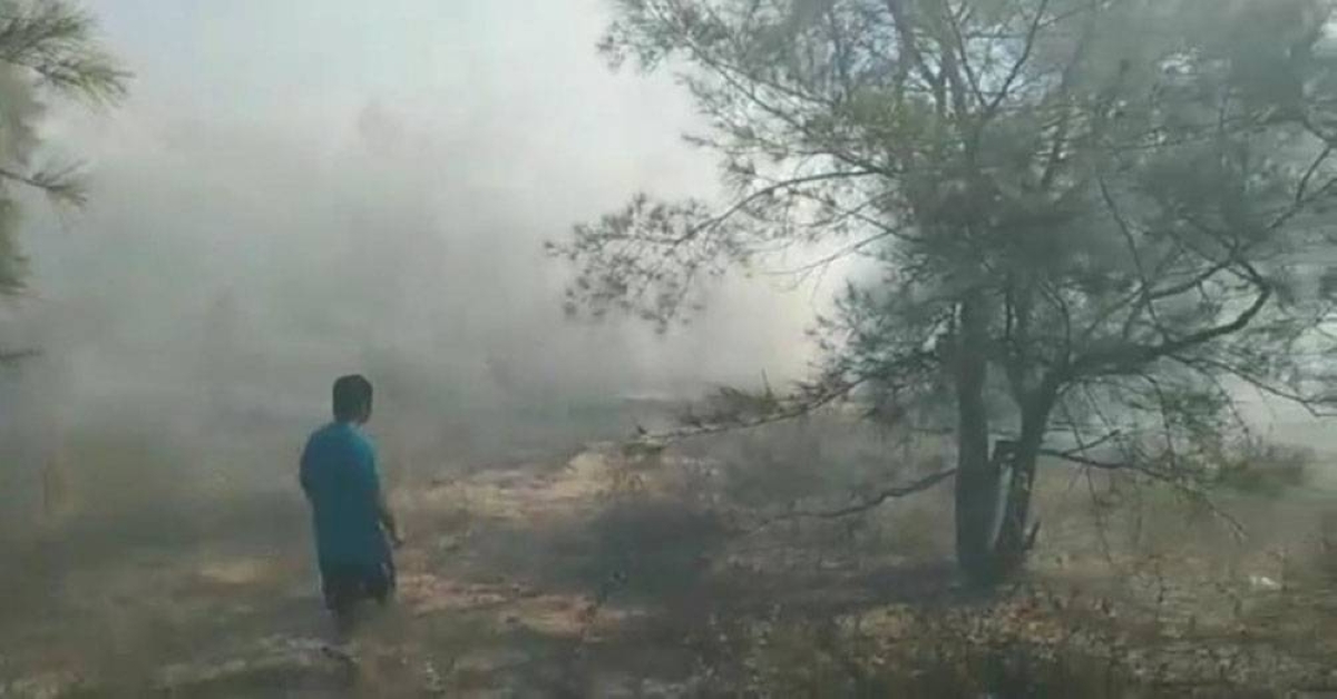 Public urged to prevent forest fire | The Manila Times - Vimarsana News