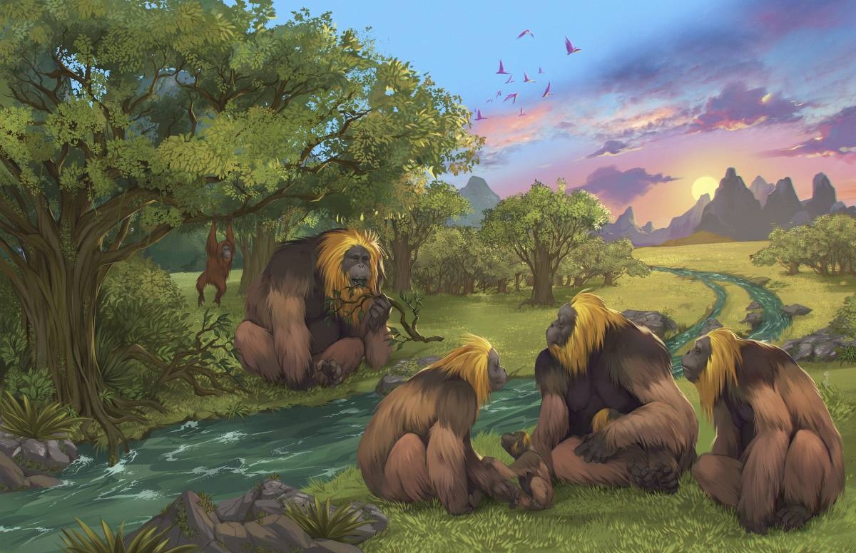 Largest great ape went extinct because of climate change - Vimarsana News
