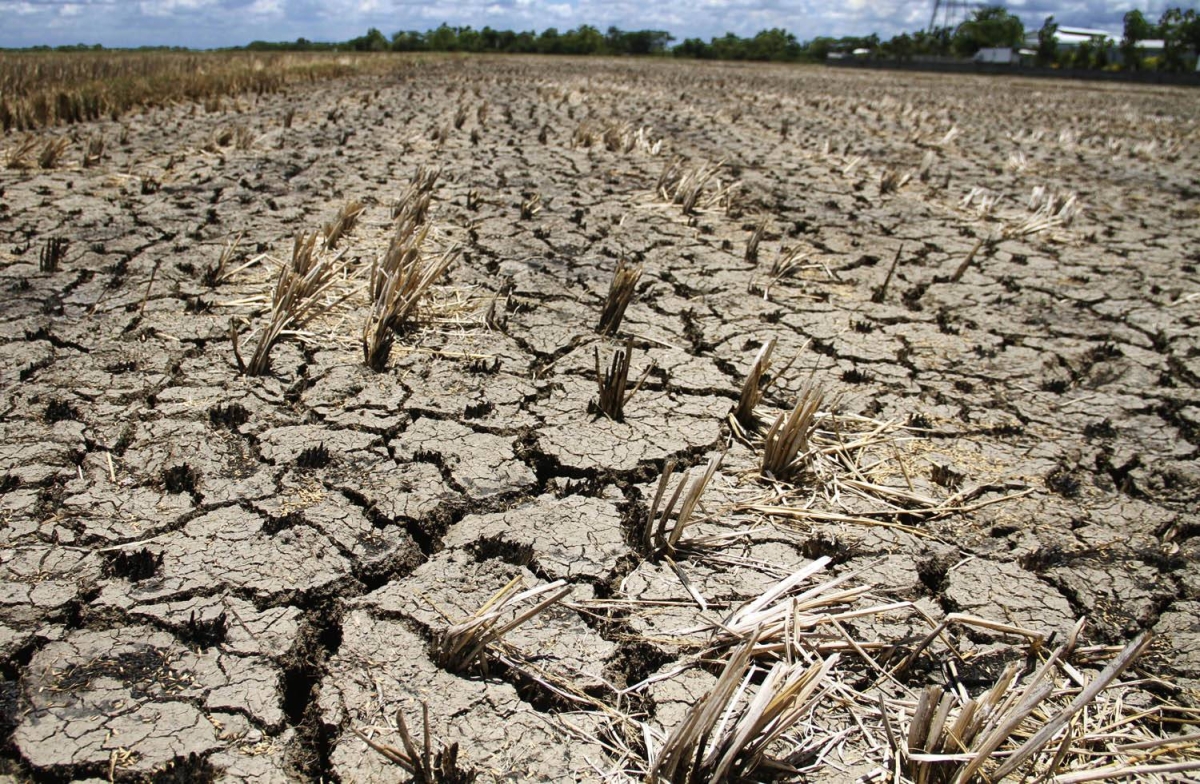 Oriental Mindoro town declares state of calamity - Vimarsana News