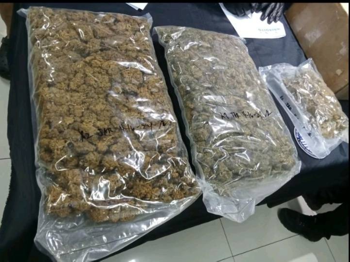 High-grade cannabis found in parcels | The Manila Times - Vimarsana News