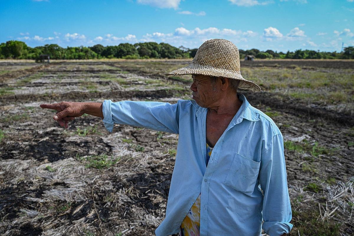 In this photo taken on April 25, 2024 Filipino farmer Eddie Balagtas shows a drought-stricken farm in San Antonio, Nueva Ecija. More than half of the Philippines' provinces, including Nueva Ecija, are in drought as El Nino exacerbates hot and dry conditions typical for March, April and May. JAM STA ROSA / AFP
