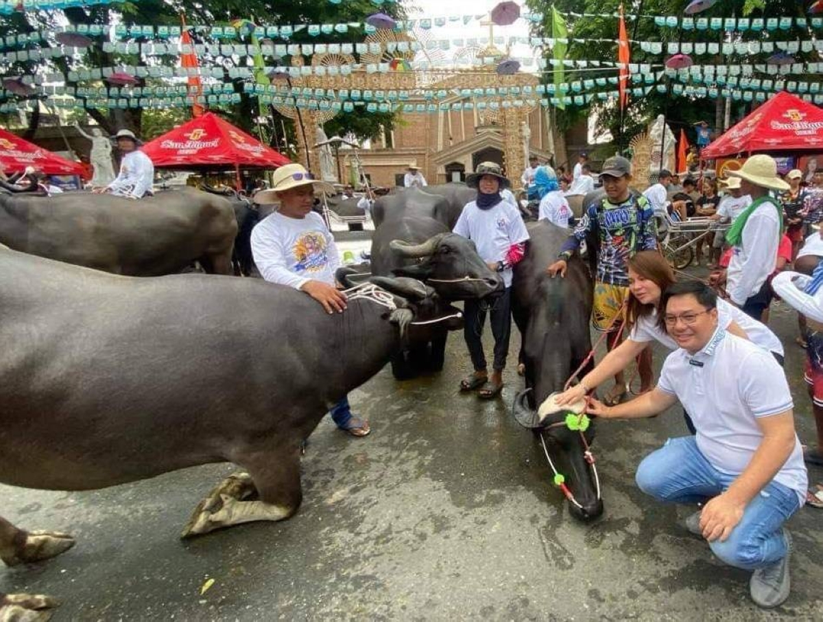 CROWD FAVORITE A carabao named Kamatis (center) draws the attention of Mayor Nerito Santos Jr. (right) and Vice Mayor Nerivi Martinez (2nd from right) during a carabao kneeling competition at the Linggo ng Magsasaka (Farmer’s Week) celebrations on May 14, 2024 in Talavera, Nueva Ecija. PHOTO BY CELSO CAJUCOM