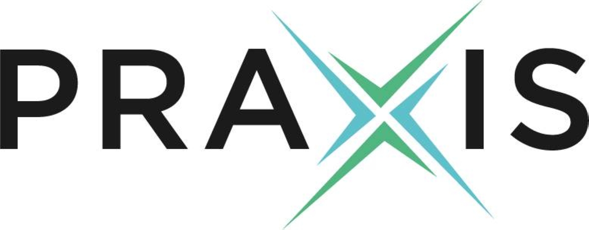 Praxis Precision Medicines to Showcase Updates from Largest Epilepsy ...