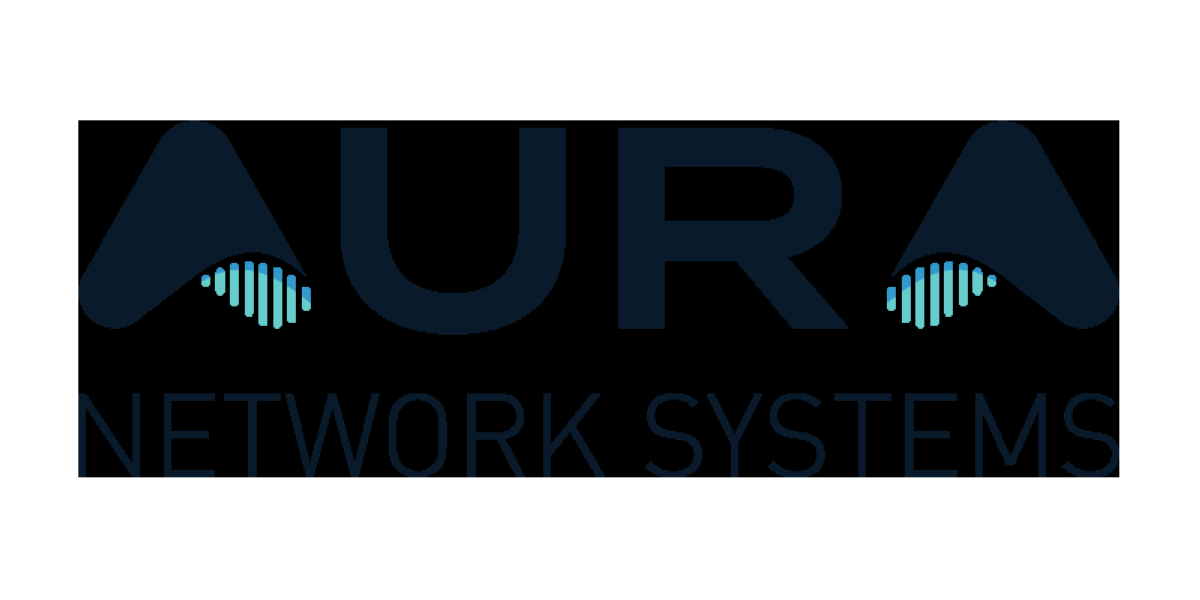AURA Network Systems Appoints Kevin Steen as CEO and Walter Berger as ...