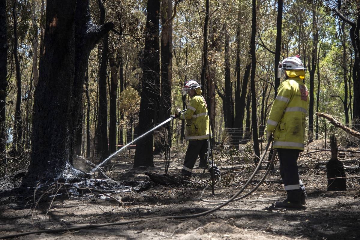 Australian bushfire burns area the size of Singapore | The Manila Times
