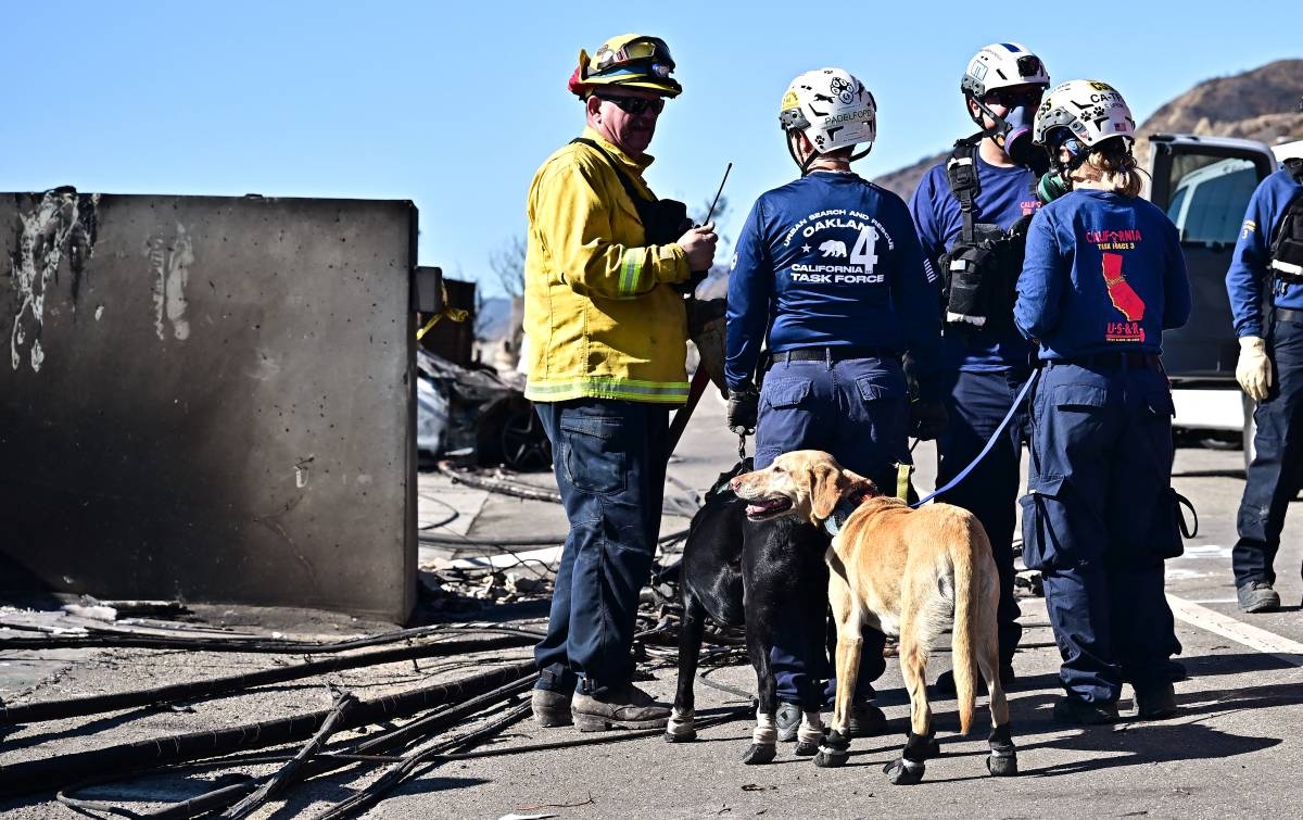 Dogs prove invaluable in massive search for Los Angeles fire victims ...