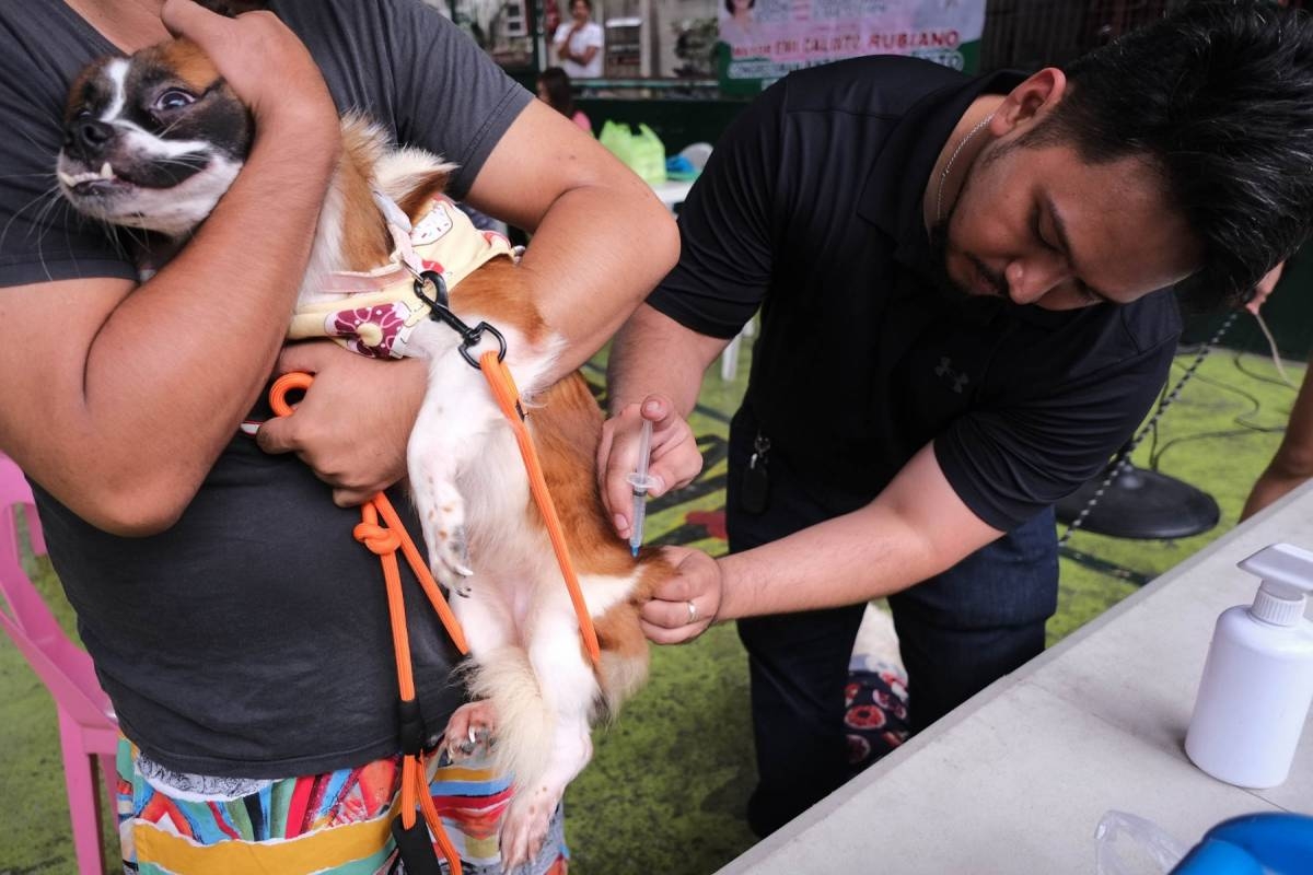 ANTI-RABIES CAMPAIGN | The Manila Times
