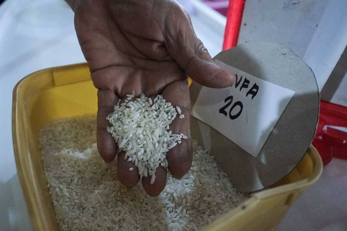 P20/kg rice sustainable without govt subsidy – Marcos | The Manila Times
