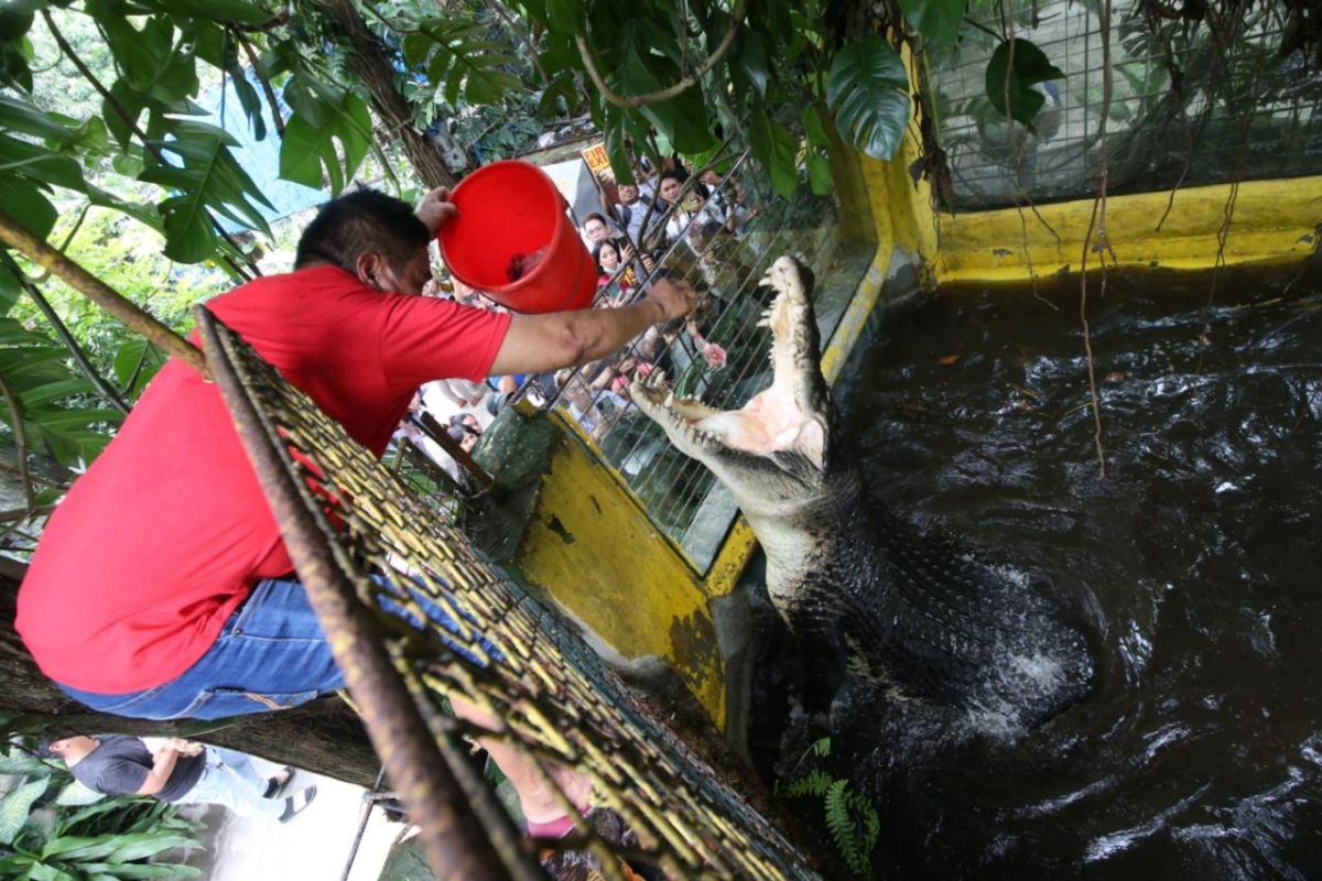 DIRE WARNING | The Manila Times