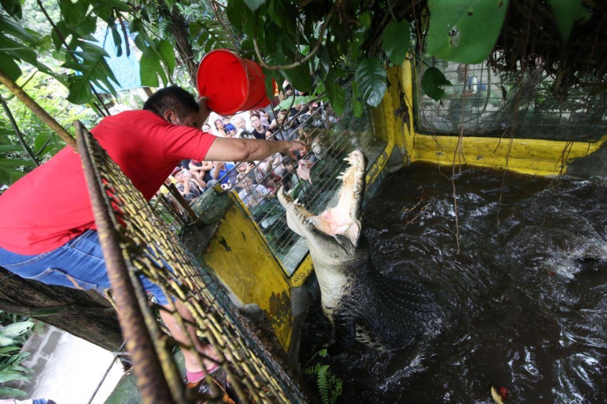DIRE WARNING | The Manila Times