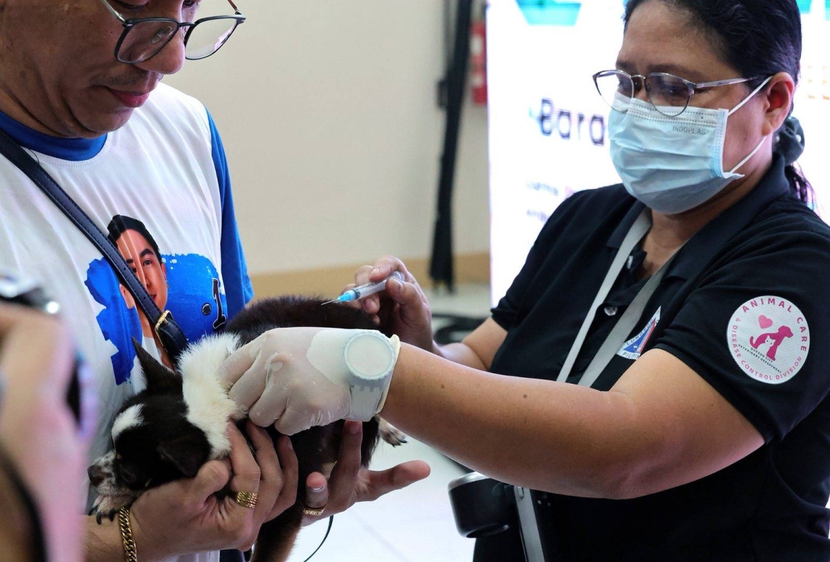 WORLD RABIES DAY 2025 | The Manila Times