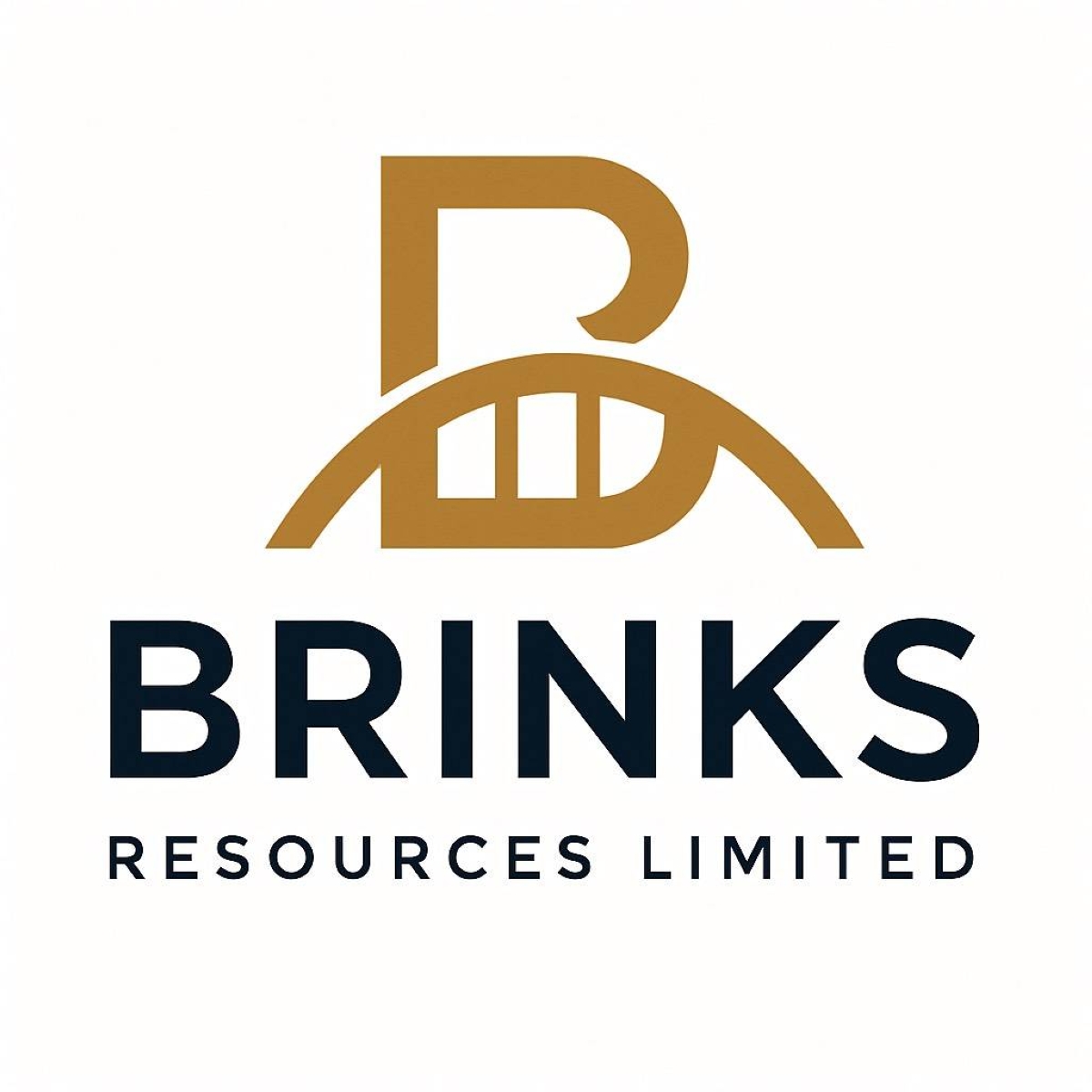 Brinks Resources Limited Initiates Governance Freeze in Response to ...