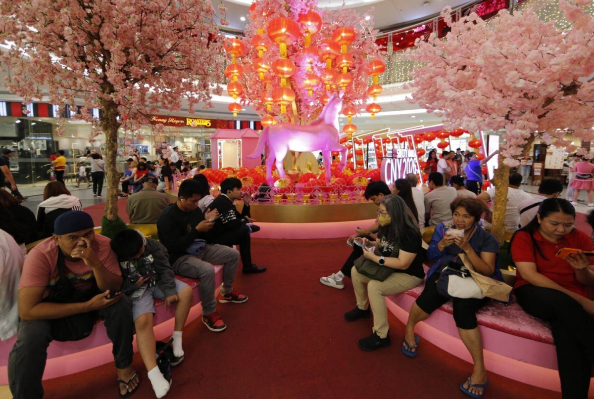 GIANT MONEY TREE | The Manila Times