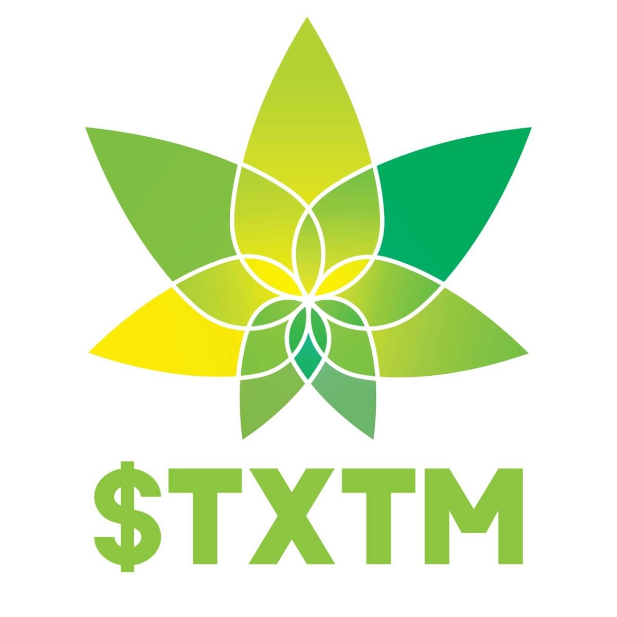 Protext ProText Mobility Inc. (OTC: TXTM) Updates Shareholders on Strategic ...