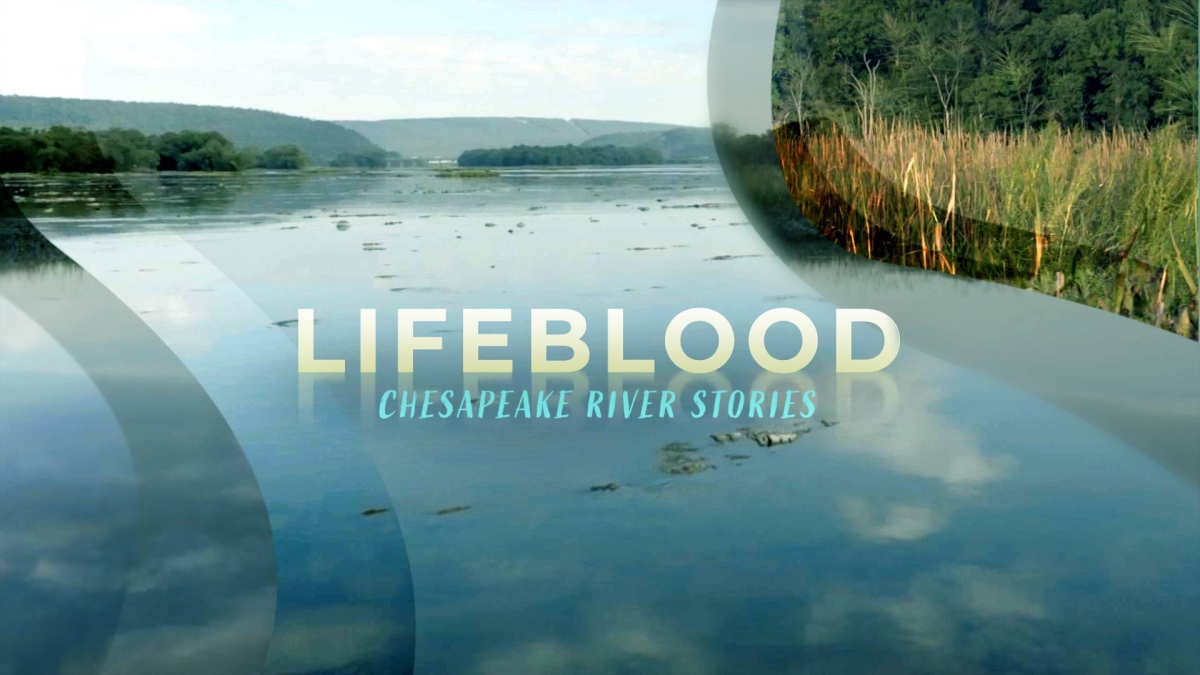 Maryland Public Television’s 22nd annual Chesapeake Bay Week® initiative runs April 19-25