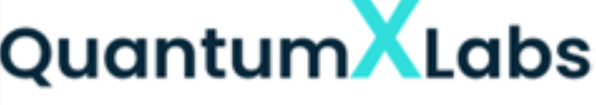Quantum X Labs Successfully Integrates Google’s Public Surface-Code ...