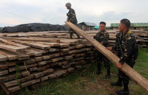 Illegal Logging 06xx