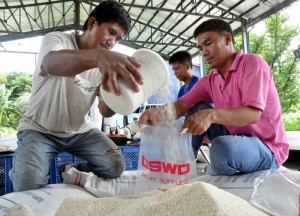 Workers of the Department of Social Welfare and Development on Tuesday pack rice to be given to victims of typhoon “Labuyo” at a warehouse in Pasay City. The government has given assurances that there will be no rice shortage even if the typhoon devastated rice farms in Regions 1 and 2. Photo By Edwin Muli