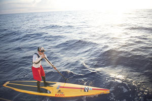 paddleboarder20130804