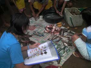 Looking at the variety of fish the fisherfolk catch from the waters of Burdeos, Quezon