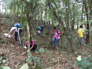 Volunteers plant their seedlings