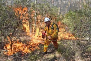 A firefighter lights a back burn near Mount Victoria in the Blue Mountains on Monday as volunteer fire brigades race to tame an enormous blaze, with officials warning it could merge with others to create a “mega-fire” if weather conditions worsen. AFP PHOTO