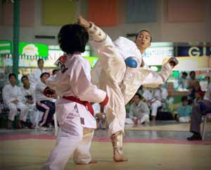 karatedo20131011