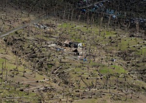 A general view shows damaged houses and flattened trees in the aftermath of Super Typhoon Haiyan in a village north of Tacloban. AFP PHOTO / Mark RALSTON