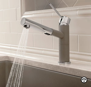 Install faucets designed to save water.