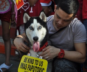 Members of the Eco-wates Coalition join pet owners in front of the Malate Church in Manila on Sunday in promoting a campaign against the use of firecrackers. PHOTO BY EDWIN MULI