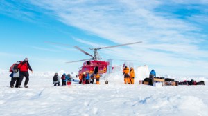 This image taken by expedition doctor Andrew Peacock of www.footloosefotography.com on Thursday shows a helicopter from the nearby Chinese icebreaker Xue Long picking up the first batch of passengers from the stranded Russian ship MV Akademik Shokalskiy as rescue operations take place after over a week of being trapped in the ice off Antarctica. AFP PHOTO